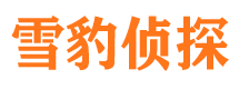 湘阴调查事务所